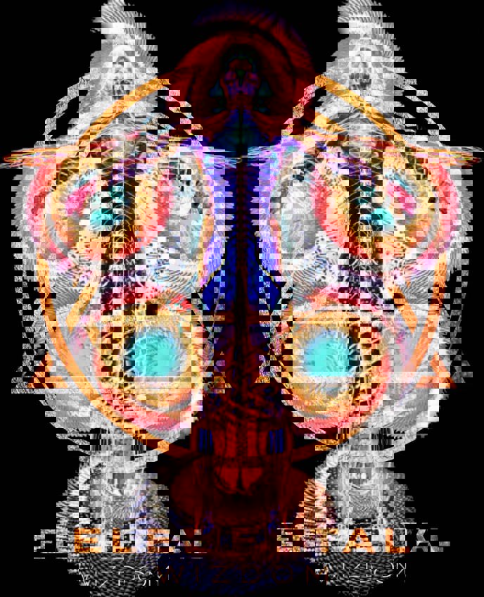 Image for Super Human Synbiotic [+]