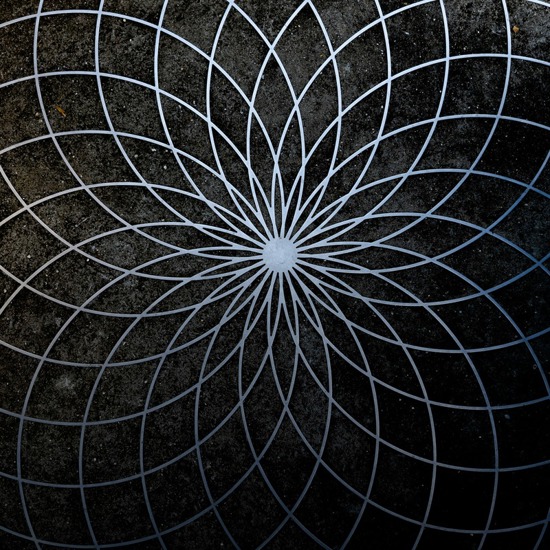 MYG Image