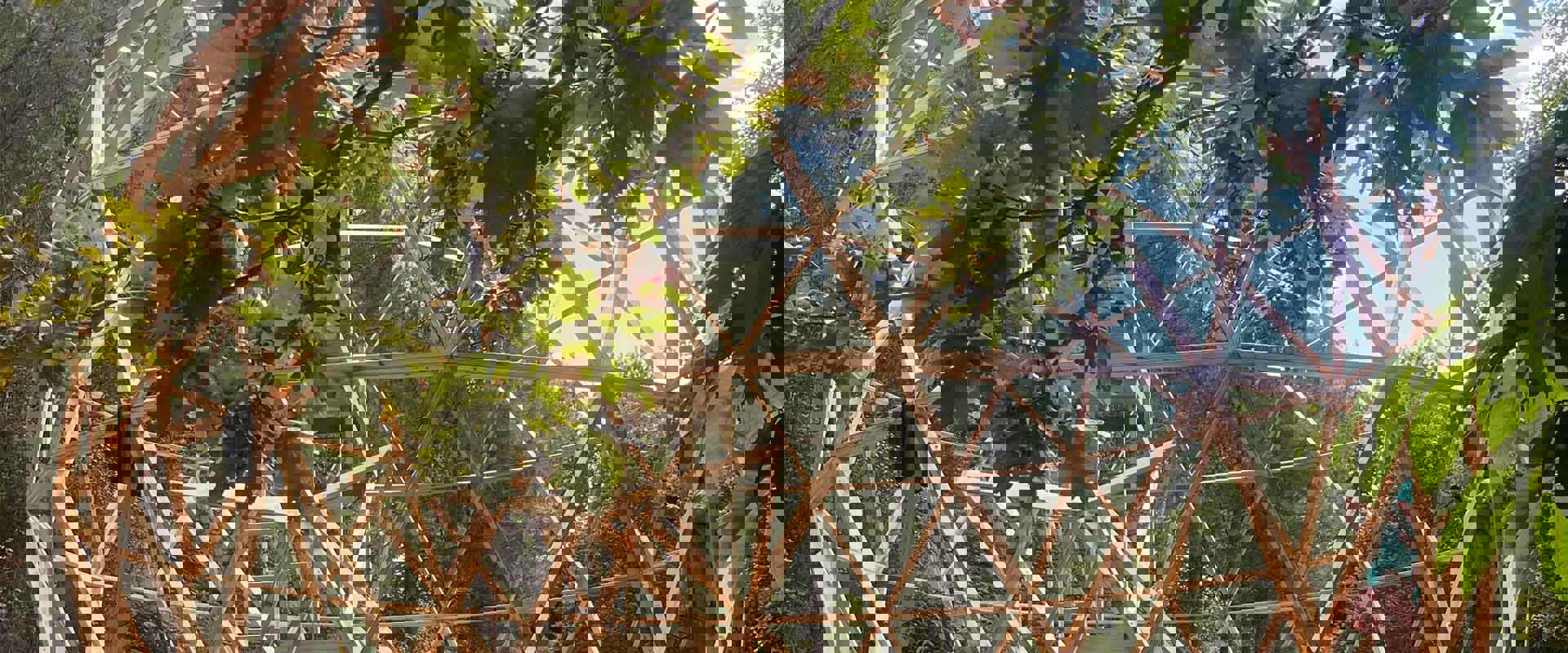 Image for Sacred Geometry