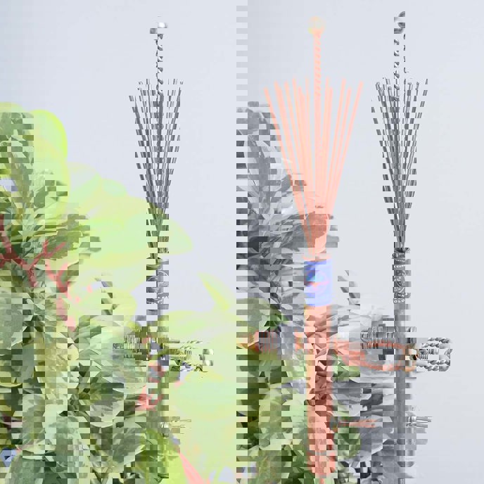 Image for The Fertile Current CW1+ Paramagnetic Electroculture Aerial Antenna