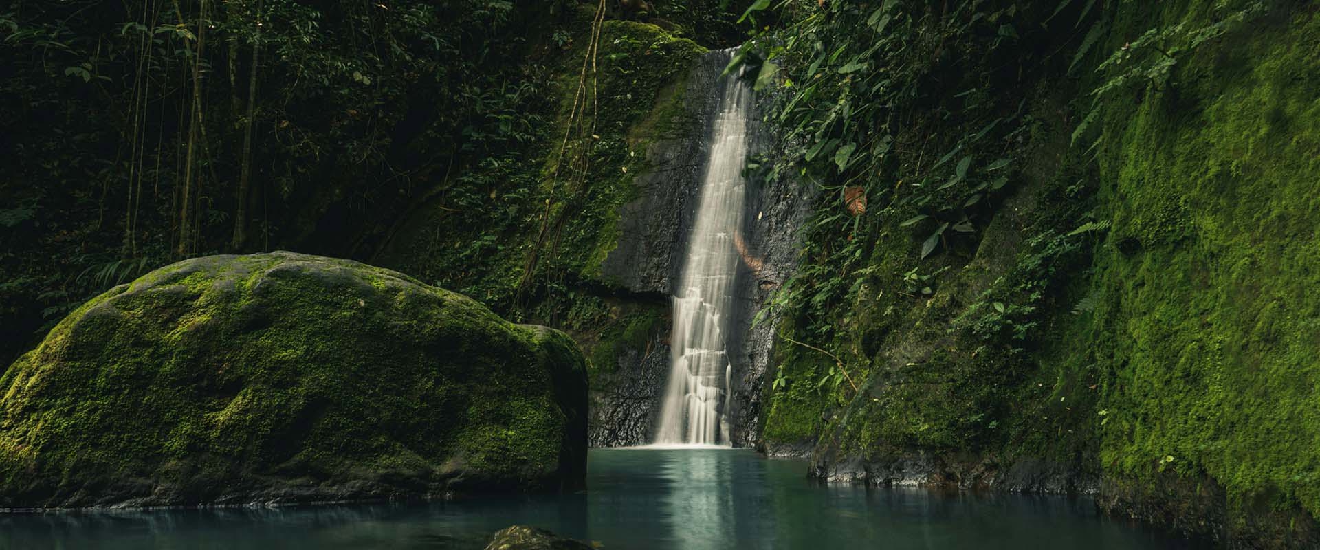 Image for Natural Living