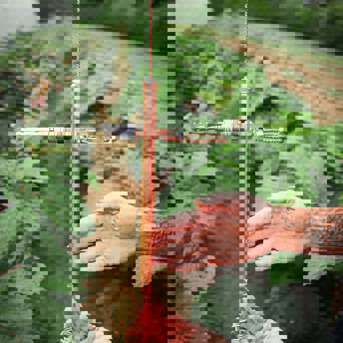 Image for The Fertile Current CW2+ Paramagnetic Electroculture Terrestrial Antenna