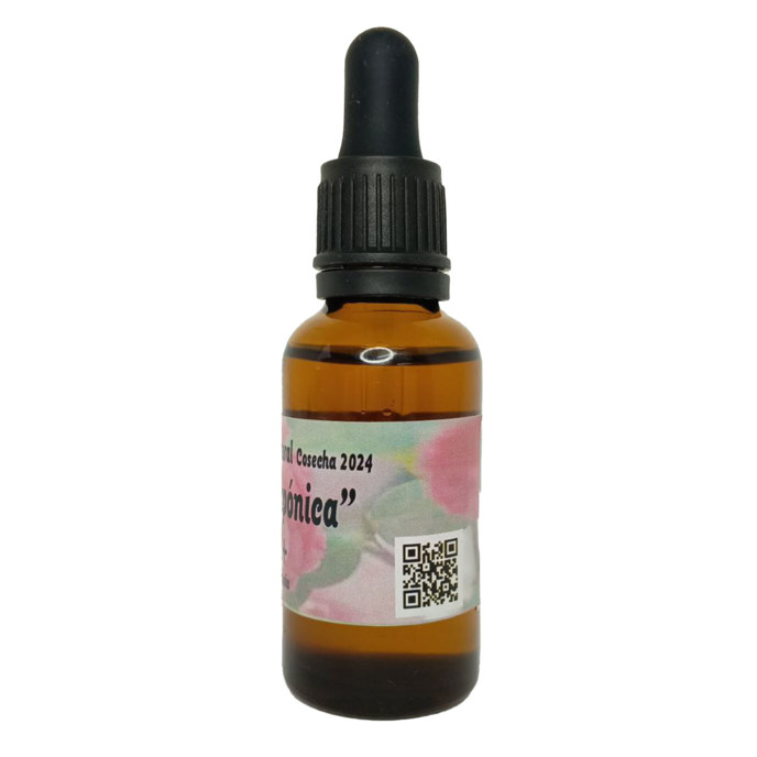Image for Camellia Japonica Oil 18ml - EU ONLY