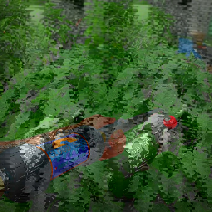 Image for The Fertile Current Cloud Sea Aqua Inductor Electroculture Programme: Guided Training