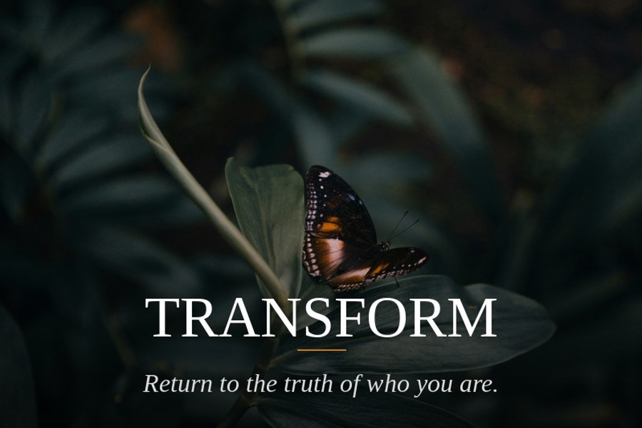 Homepage-ART-transform_final_web.jpg hello