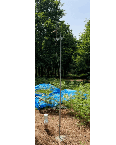 the-fertile-current-image-3