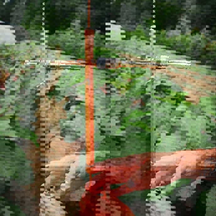 Image for The Fertile Current CW2+ Paramagnetic Electroculture Terrestrial Antenna