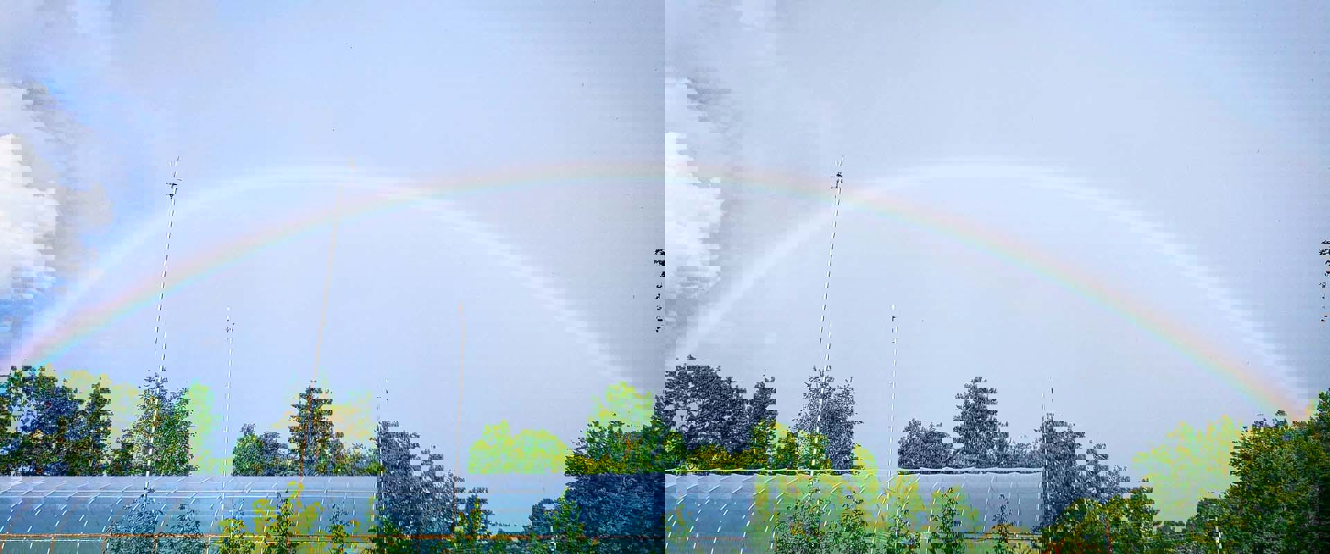 Image for Electroculture